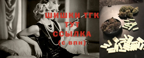 хмурый Надым