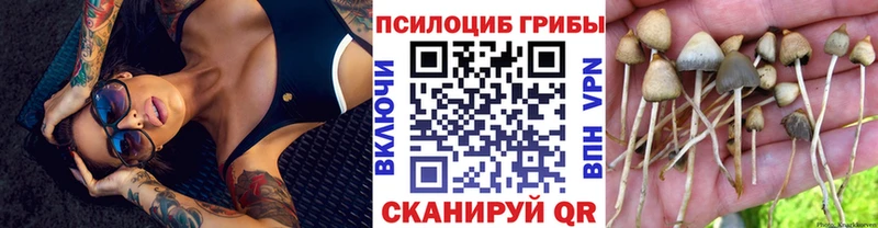 Галлюциногенные грибы Psilocybine cubensis  Купить  Крымск 